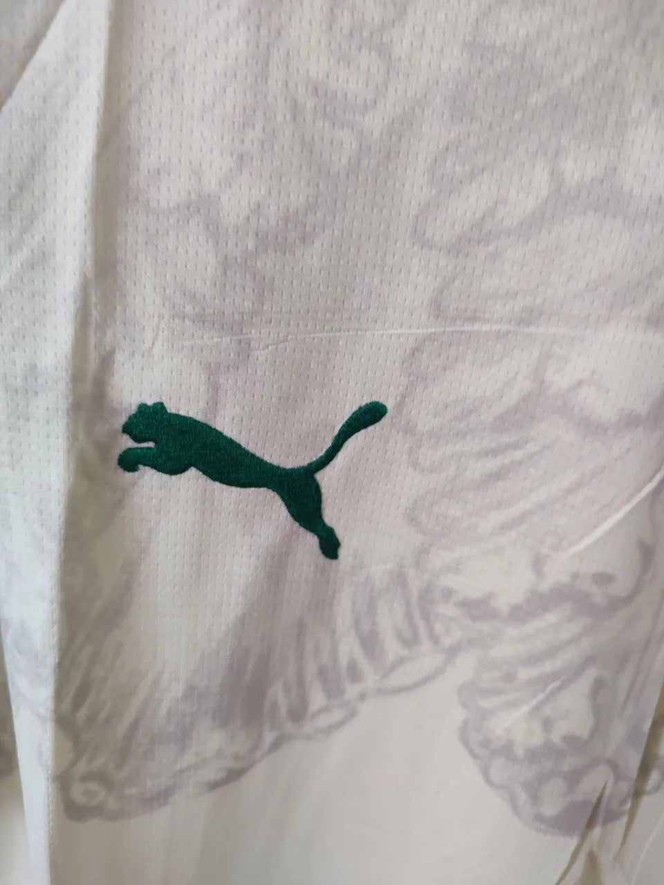 Modelo torcedor - Palmeiras camisa do Mundial
