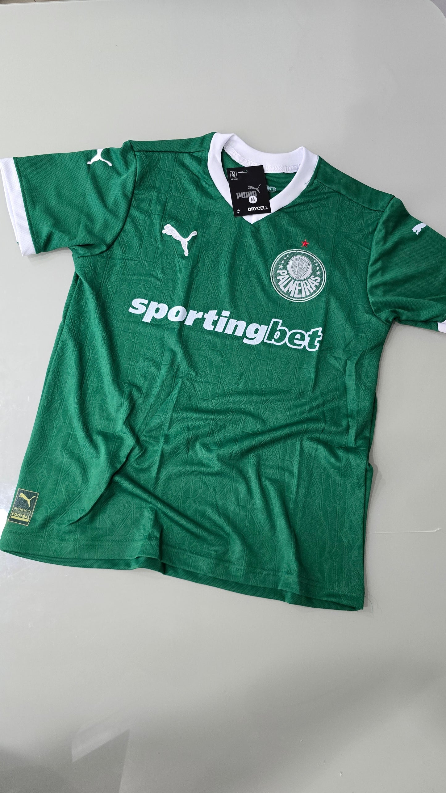 Palmeiras Verde 2025