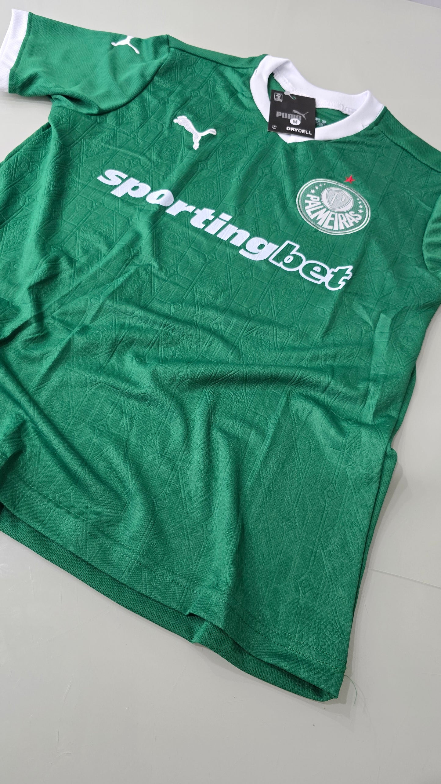 Palmeiras Verde 2025