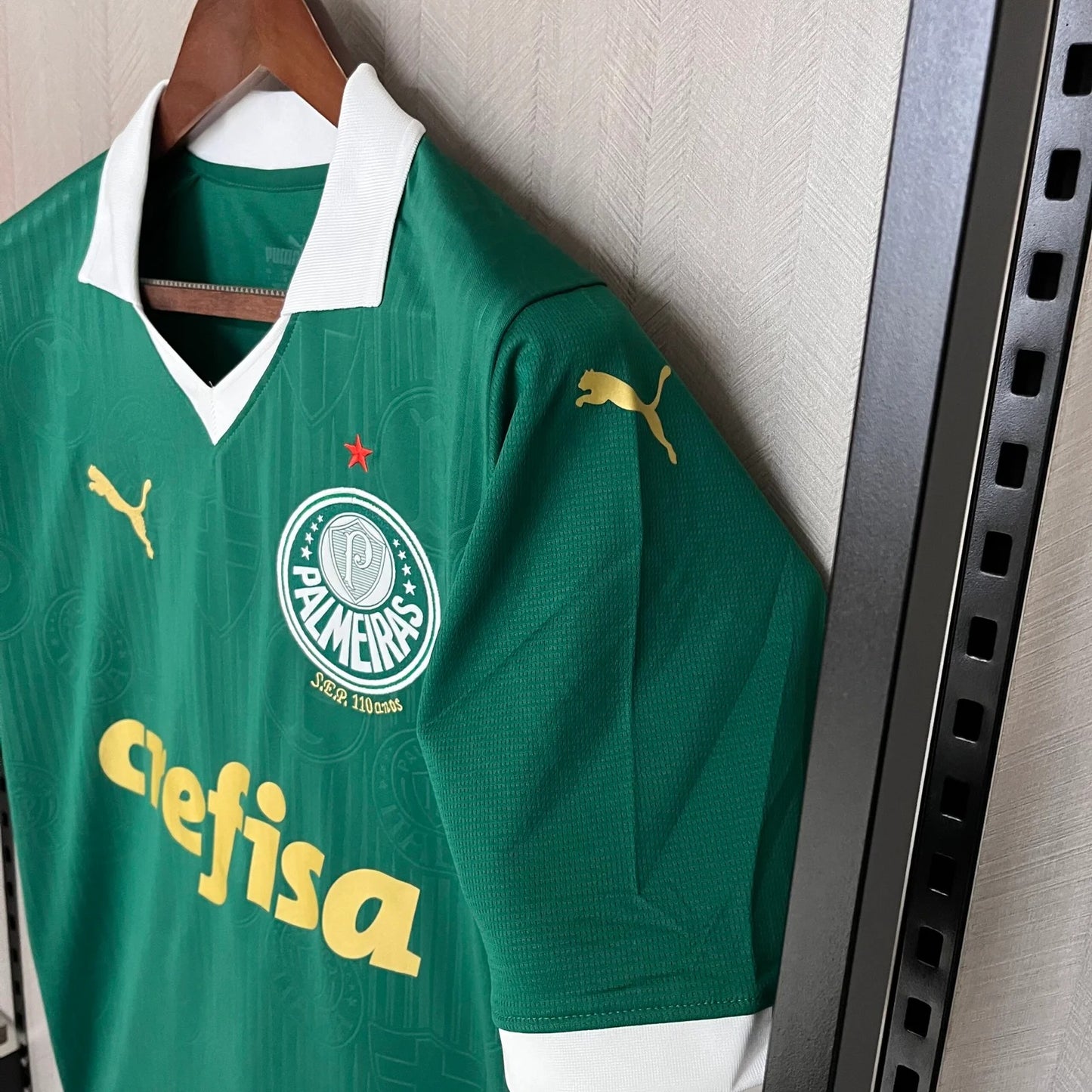 Modelo torcedor - Palmeiras 24/25 Home