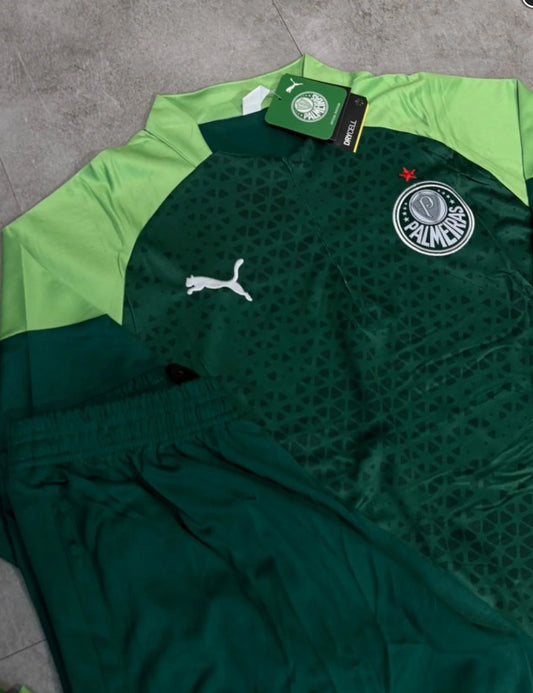 Conjunto Treino Palmeiras Verde 2025